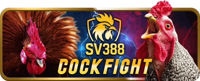 Biểu đồ tăng trưởng tỷ lệ kèo Sportsbet